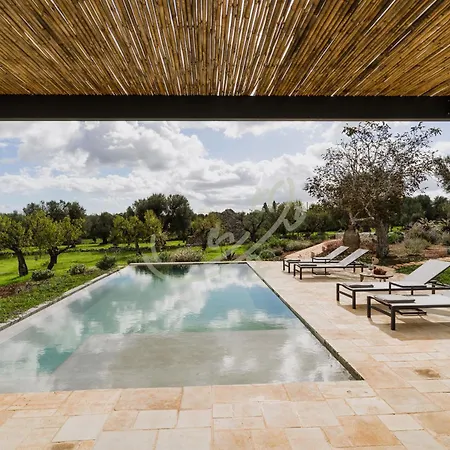 펜션 Td Trullo Yume Whispering Olive Grove *
